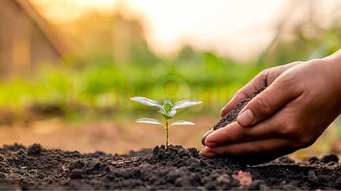 In the shower of angels of victory!