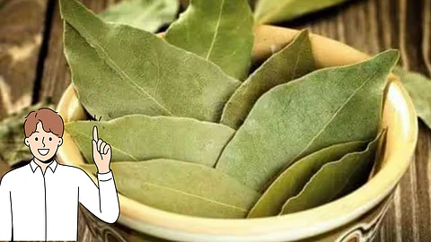 Brinjhi leaf