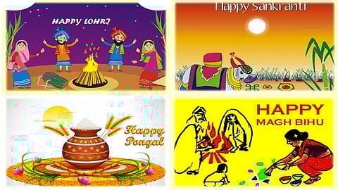 pongal vs makar sankranti