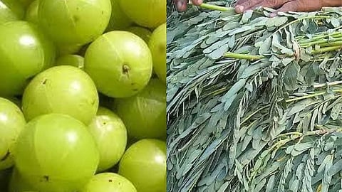 துவாதசி...