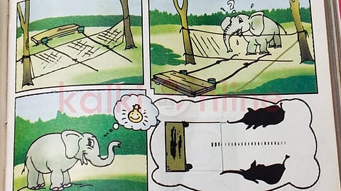 Animal's cognitive skill