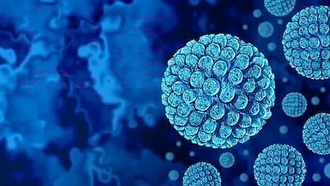 norovirus