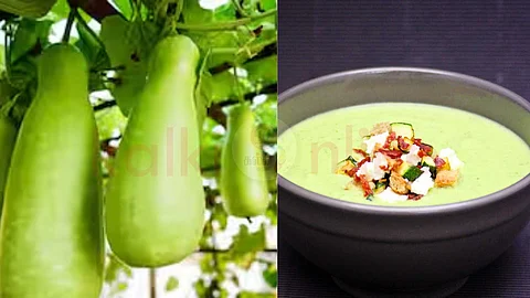Yummy Zucchini Alva and Zucchini Payatham Dal Mix!