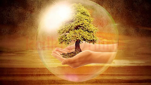 To protect the environment