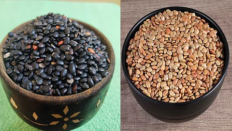black horse gram vs brown horse gram