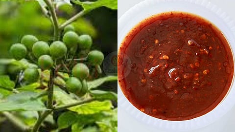 Medicinal Sundaikkaai recipes!