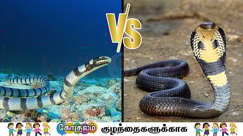 sea snake & land cobra