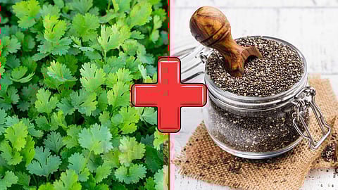 coriander + chia seeds