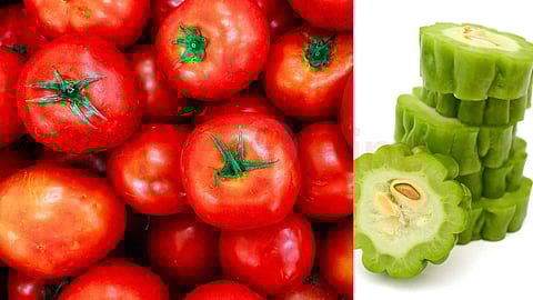 Vegetables that should not include tomatoes!