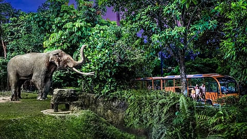 National Parks of India