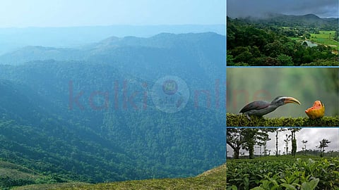 10 places to visit in February!