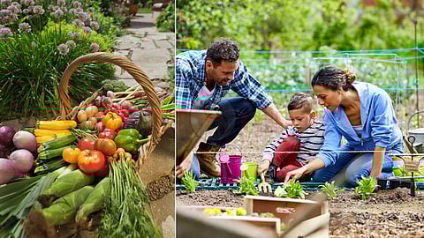 A small garden can be set up beautifully