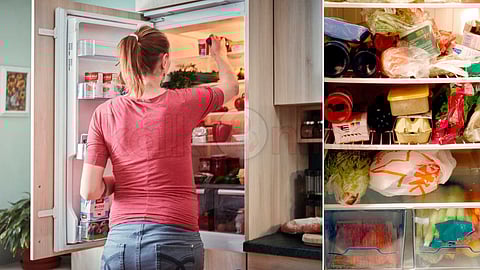Points to note while using the fridge.