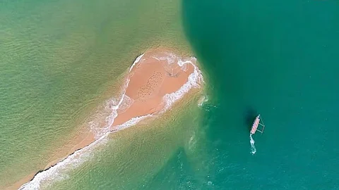 Seagull island devbag