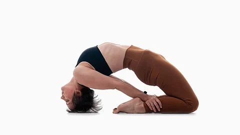 Laghu Vajrasana