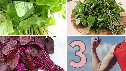 Amaranth - 3 types of greens