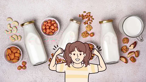 Nuts Milk