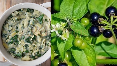 Manathakali greens recipes