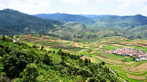 Are you interested in tourism?