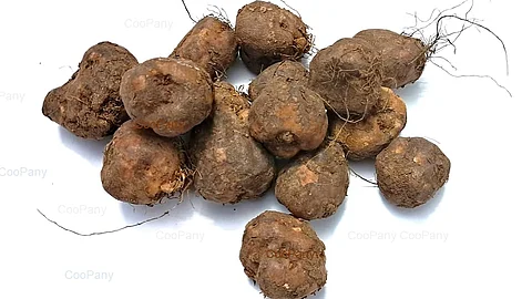 Siru Kizhangu