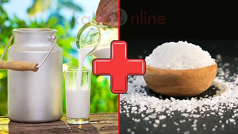 Milk + Salt