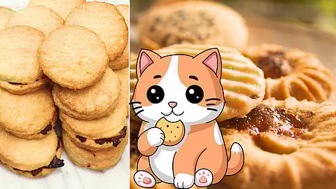 healthy biscuits recipes