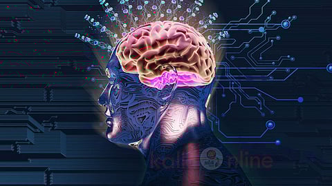 Brain