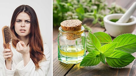 Peppermint oil alone is enough for hair problems!