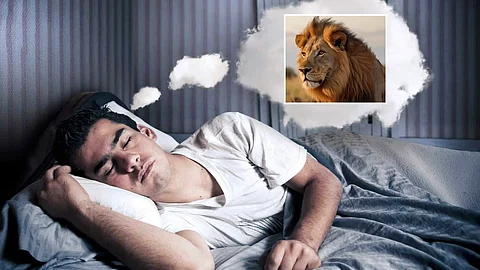 Seeing a Lion in Dream