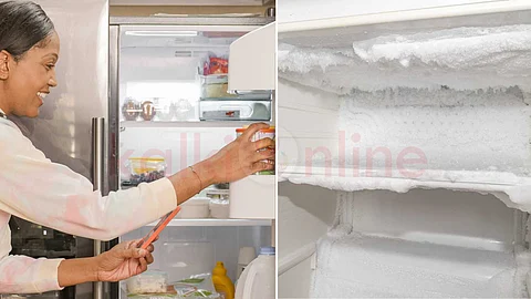 Do you want to prevent ice cubes from forming in your fridge?