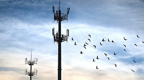 5G radiation affected animals