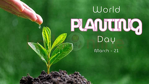 World Planting Day