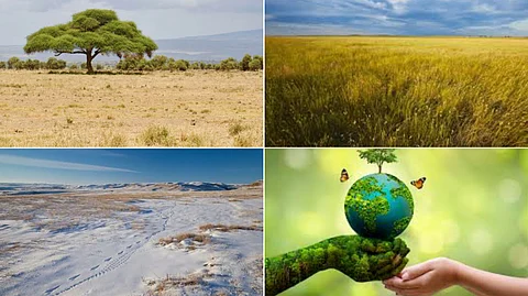 Ecology of grassland organisms