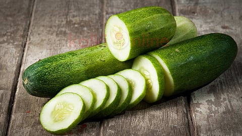 cucumber