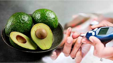 Avocados control diabetes