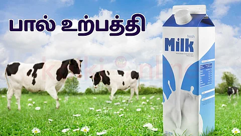 Milk production