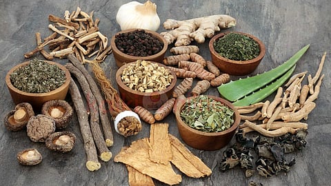 herbal home remedies