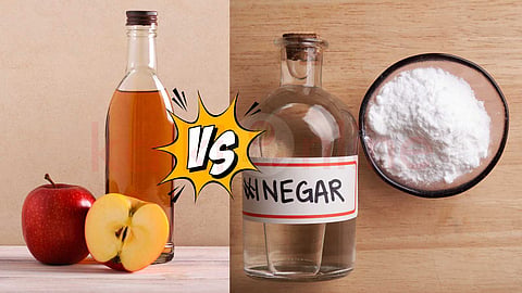 Apple cider vinegar vs White vinegar