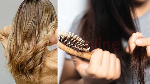 Signs of acid-colored and thick hair!