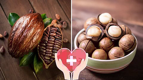 ocoa beans and macadamia nuts