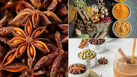 Star anise benefits