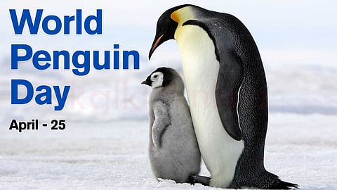 World penguin day