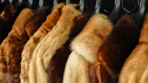 Fur clothes