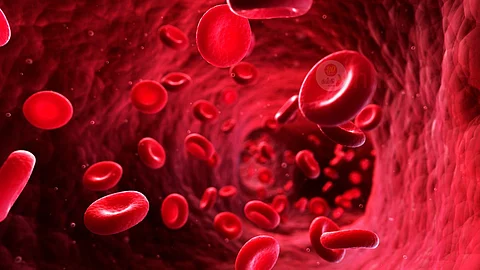 Blood