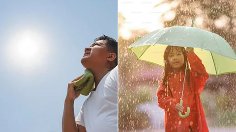 summer and rain