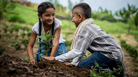 Teaching children to love nature