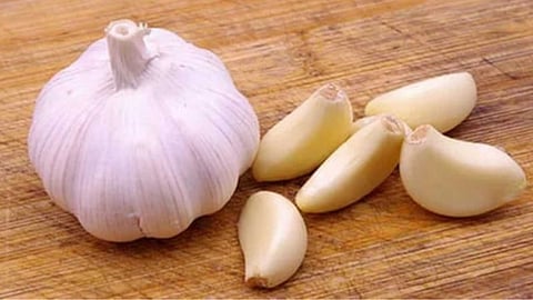 Garlic paste