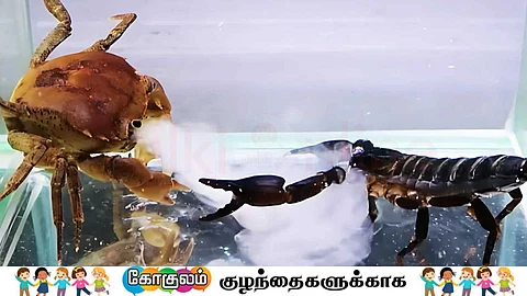 crab