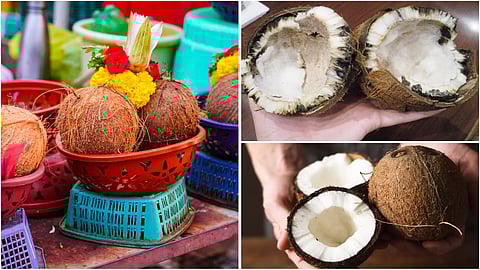 spoiled coconut