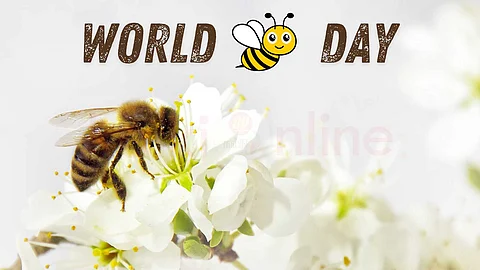 World Bee Day
